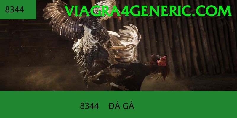 Đá Gà Trực Tiếp - nextbet